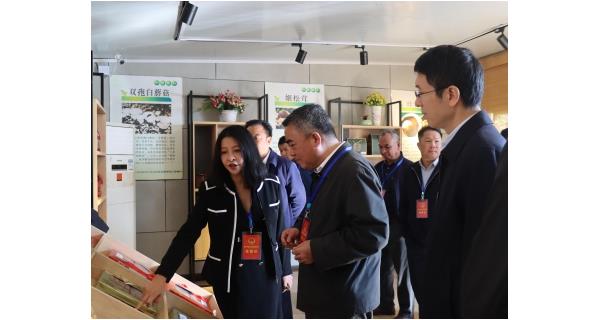 自治區(qū)水利廳黨組書記、廳長楊焱一行來到公司食用菌基地調(diào)研，了解現(xiàn)代特色農(nóng)業(yè)發(fā)展情況