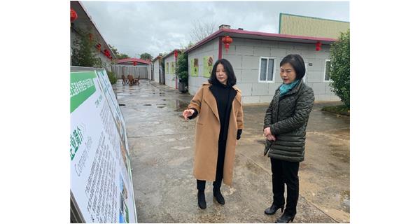梧州市副市長蘇穎到上品薈食用菌基地調(diào)研