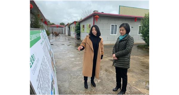 2022年2月21日下午，梧州市副市長蘇穎、梧州市婦聯(lián)主席易潔、梧州市政府副秘書長劉念等一行到公司食用菌基地調(diào)研。